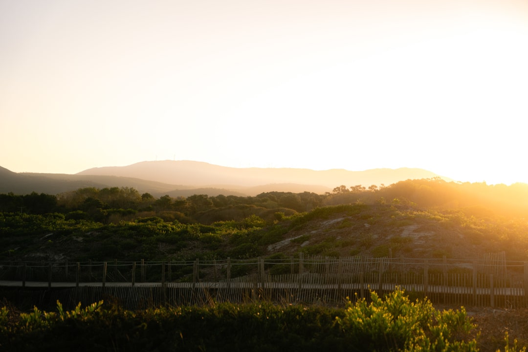 surfen portugal juni - Düne im Sonnenaufgang