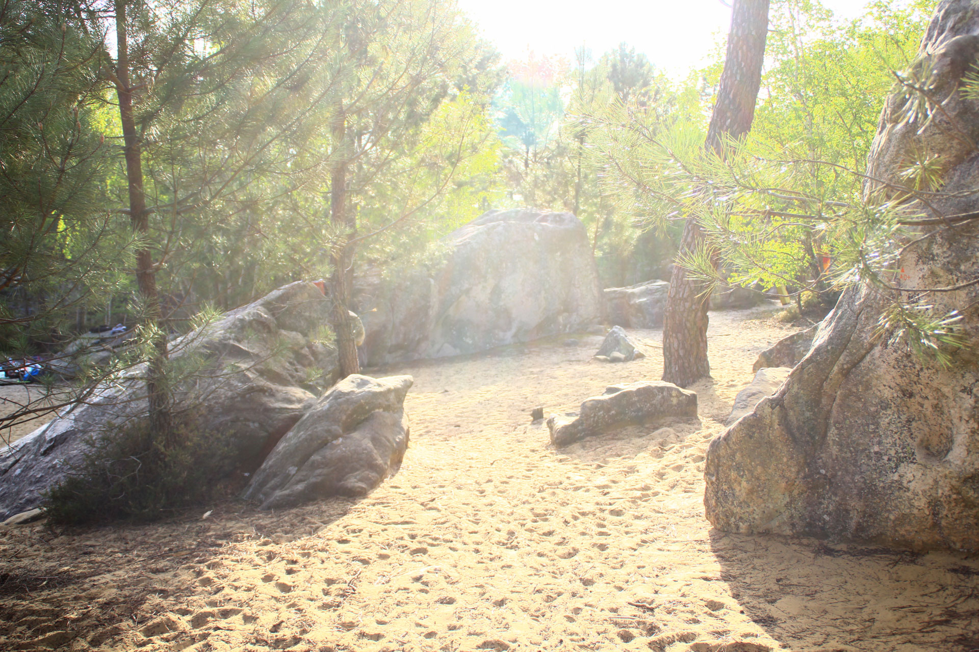 Goodtimes Bouldercamp Fontainebleau Boulderaerea im Wald von Fontainebleau