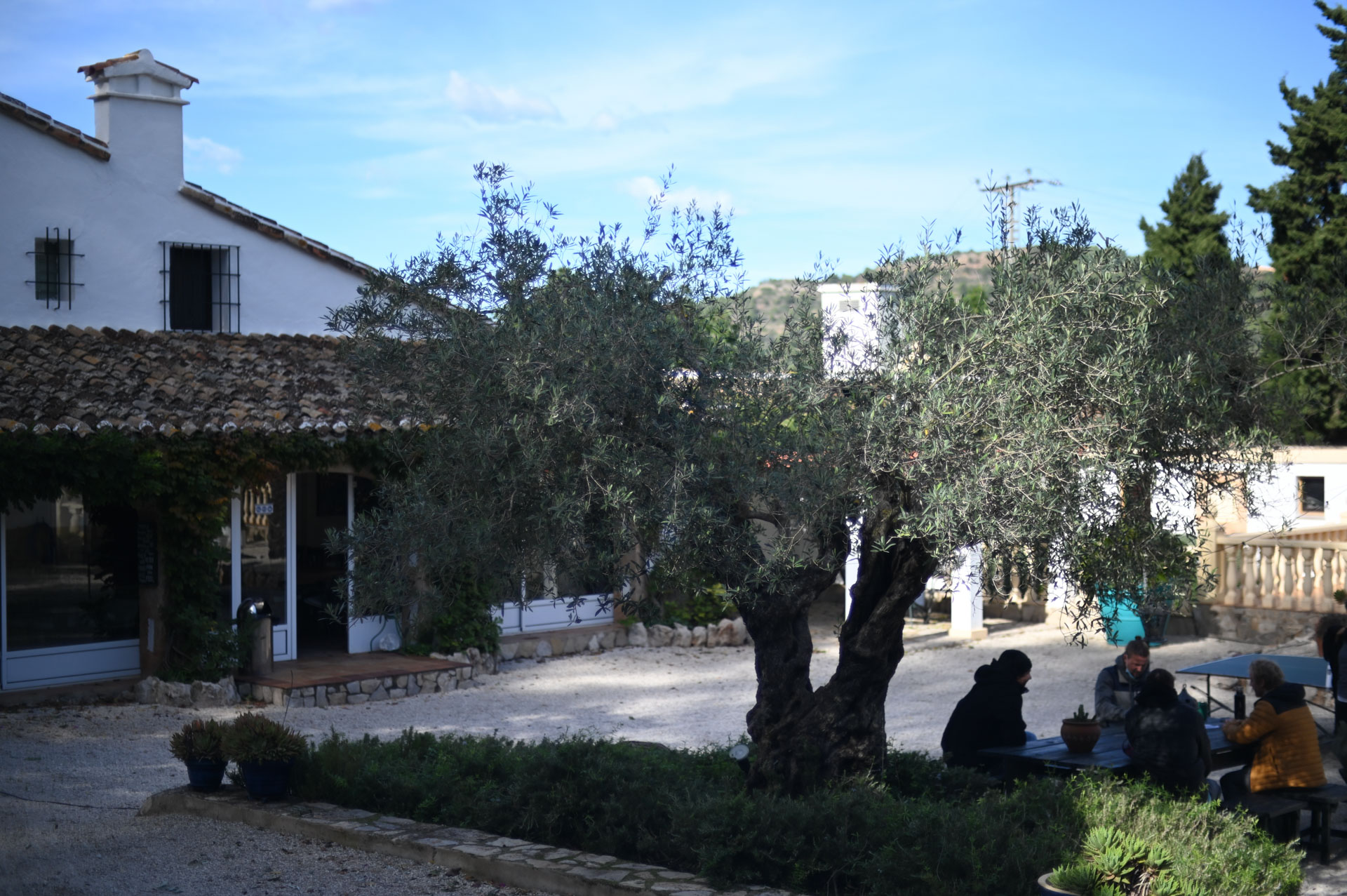 Klettercamp Costa Blanca Campleben 02