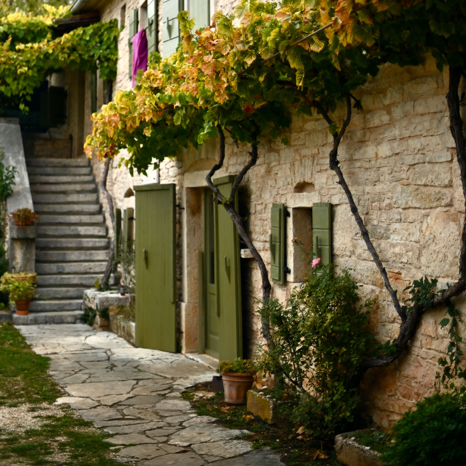 Goodtimes Sportreisen Kletterreisen Europa, Unterkunft Bauernvilla in Istrien