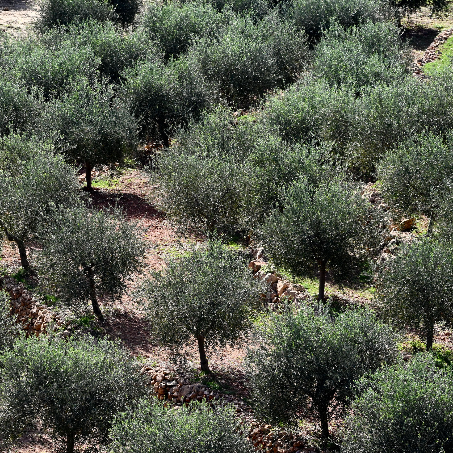 Klettern Costa Blanca Galerie 06