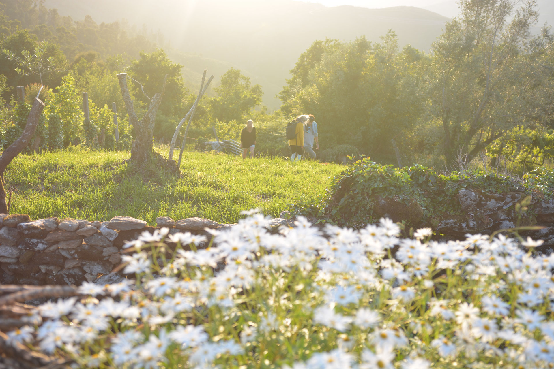 Goodtimes Sportreisen Surfcamp Portugal Ausflug ins Grüne