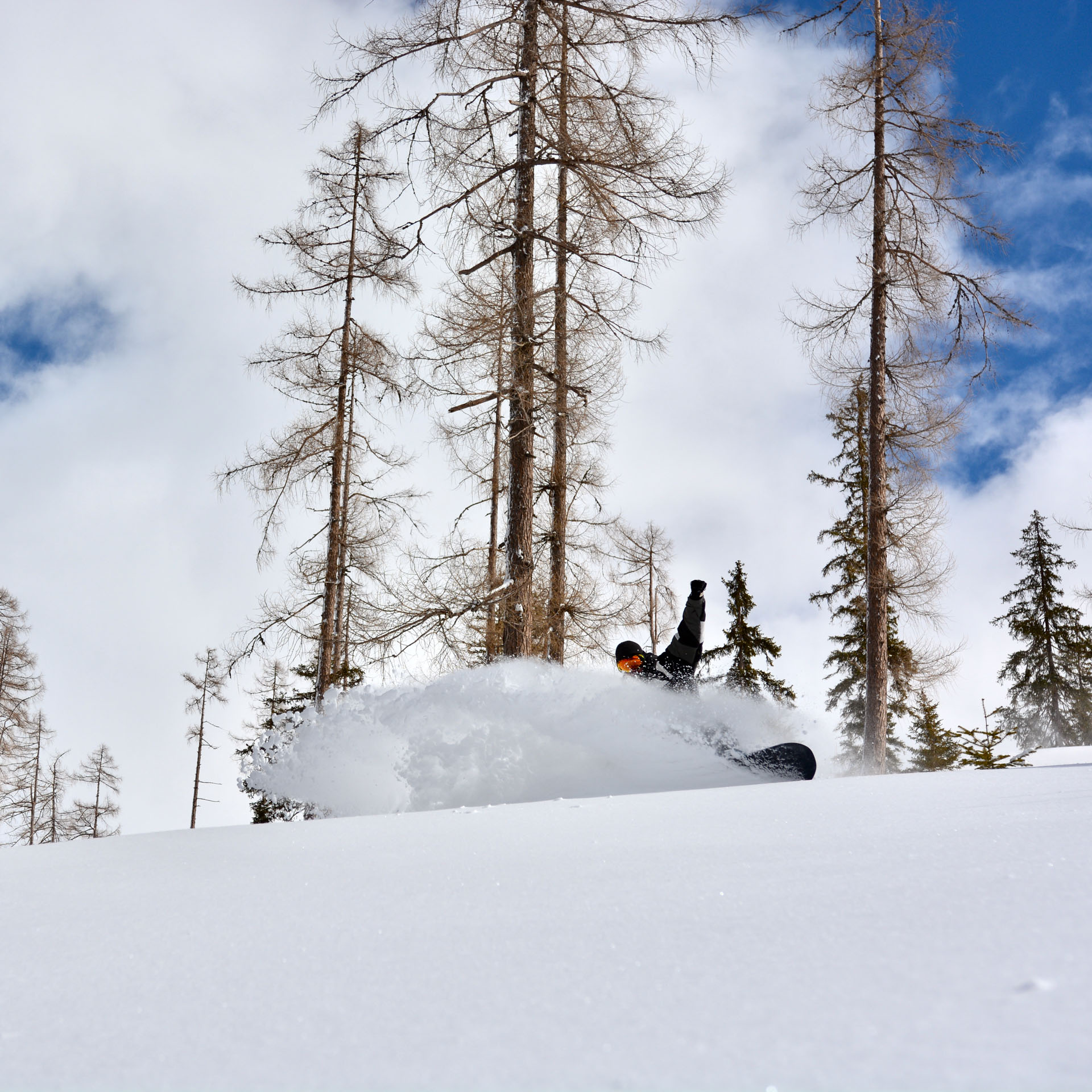 Goodtimes Sportreisen Snowcamp Österreich. Snowboarder im Gelände im Tiefschnee