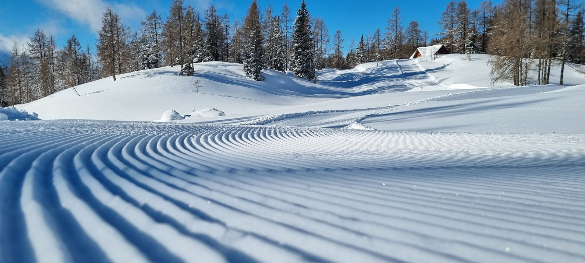 Skihütte Campleben Skigebiet