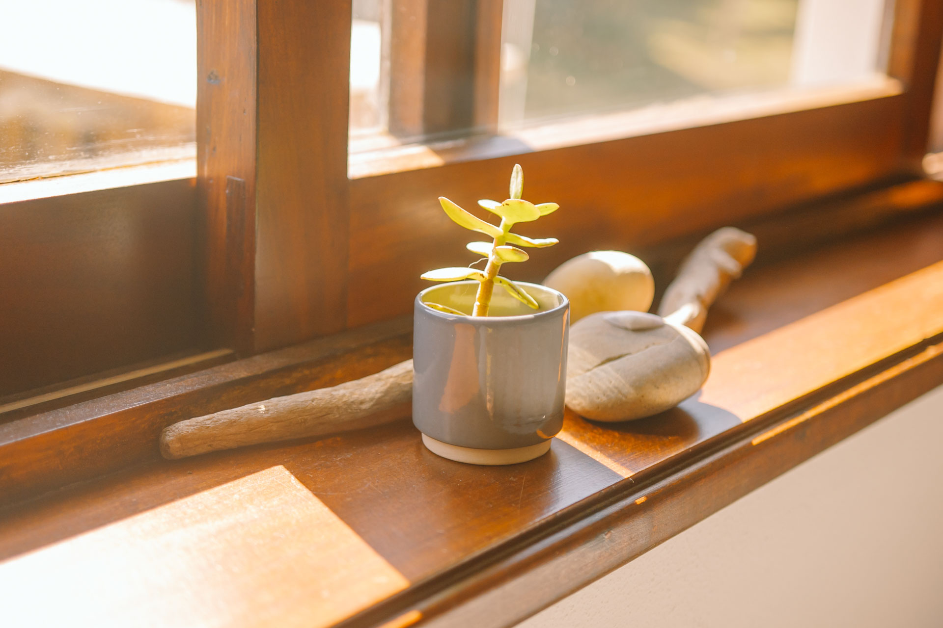 goodtimes sportreisen srf suite 02